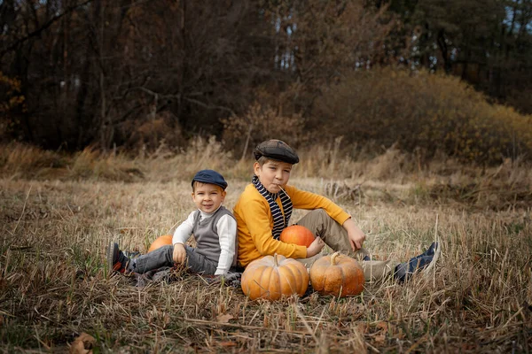 Két Retro Ruhás Fiú Egy Őszi Mezőn Gyerekek Tökök Őszi — Stock Fotó