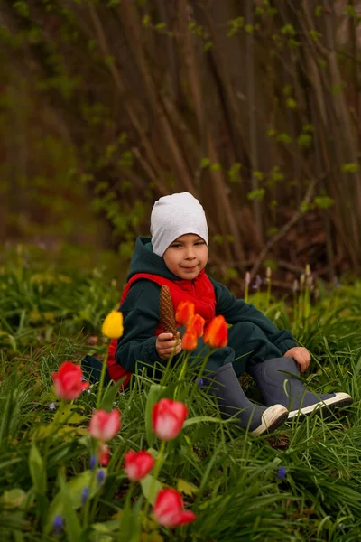 Schattig Kind Zittend Een Weiland Tussen Tulpen Een Enorme Kegel — Stockfoto