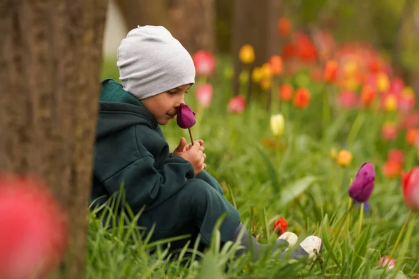 Criança Bonita Sentada Jardim Outono Cheirando Botão Roxo Uma Tulipa — Fotografia de Stock