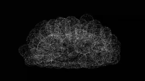 Menselijk Brein Draait Zwarte Achtergrond Voorwerp Gemaakt Van Glinsterende Deeltjes — Stockvideo