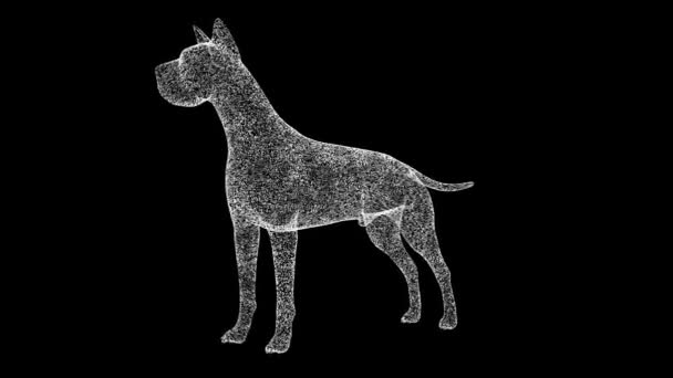 3D狗在黑色背景下旋转 用闪光的粒子制成的物体 宠物关心的概念 3D动画60 Fps — 图库视频影像