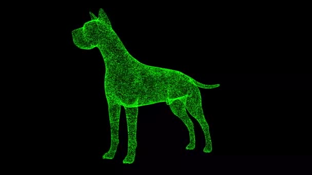 Hond Draait Zwarte Achtergrond Voorwerp Gemaakt Van Glinsterende Deeltjes Huisdieren — Stockvideo