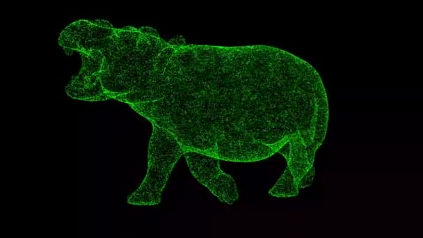 Hippopotamus Rotates Black Background Object Made Shimmering Particles Wild Animals — Stock Video