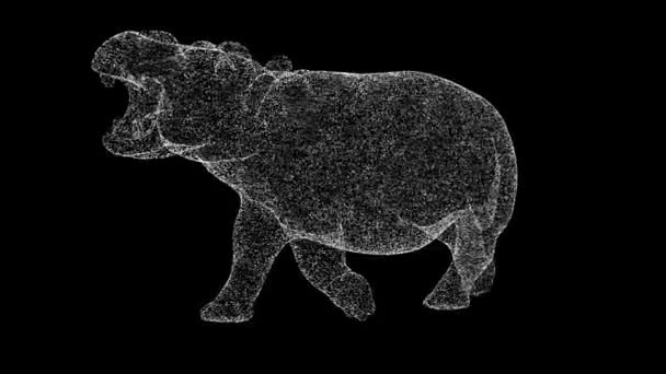 Hipopotam Obraca Się Czarnym Tle Obiekt Wykonany Błyszczących Cząstek Koncepcja — Wideo stockowe
