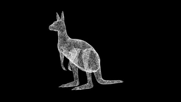 Känguru Dreht Sich Auf Schwarzem Hintergrund Objekt Aus Schimmernden Teilchen — Stockvideo