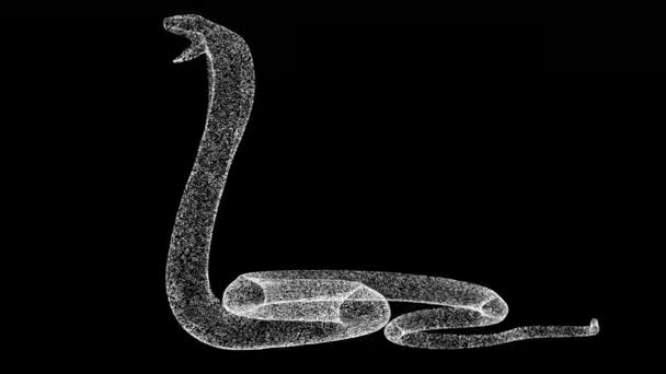 3D蛇眼镜蛇在黑色背景下旋转 用闪光的粒子制成的物体 野生动物的概念 3D动画60 Fps — 图库视频影像