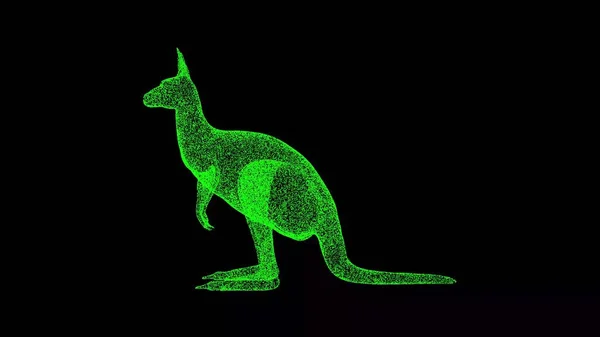 3D kangaroo on black background. Object made of shimmering particles. Wild animals concept. For title, text, presentation. 3d animation