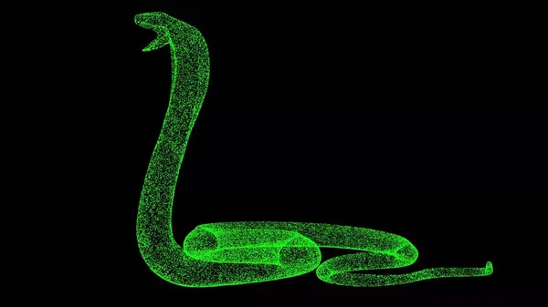 3D Snake Cobra on black background. Object made of shimmering particles. Wild animals concept. For title, text, presentation. 3d animation