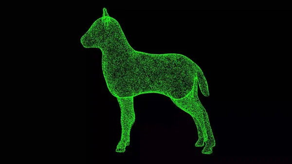 3D lamb on black background. Object made of shimmering particles. Wild animals concept. For title, text, presentation. 3d animation