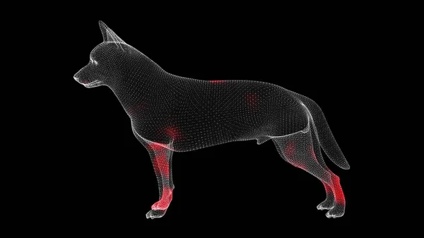 病毒在黑色背景下通过动物单色体积体传播 病毒在体内的可视化展示 导引影片 医学概念 3D动画 — 图库照片
