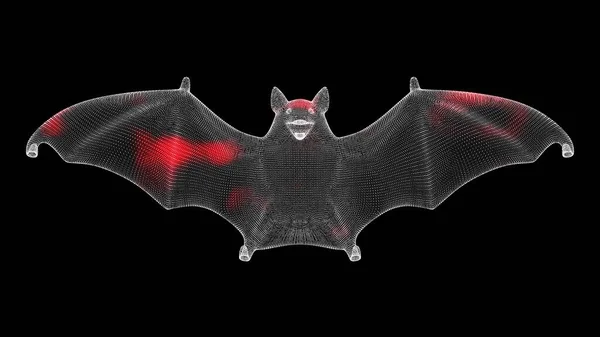 Verbreitung Des Virus Durch Volumetrische Fledermaus Monochrom Auf Schwarzem Hintergrund — Stockfoto