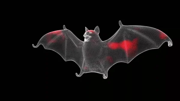 Espalhamento Vírus Através Morcego Volumétrico Monocromático Sobre Fundo Preto Demonstração — Fotografia de Stock
