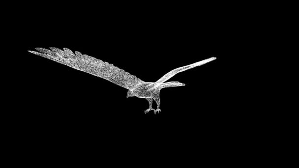 3D鹰猎鹰在黑色背景下旋转 用闪光的粒子制成的物体 野生动物的概念 3D动画60 Fps — 图库视频影像