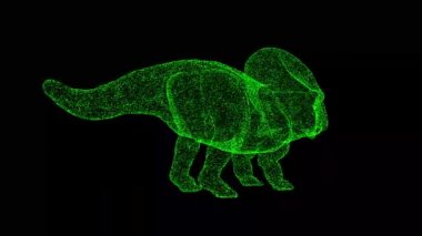 3D dinozor Protoceratops siyah arka planda döner. Parlayan parçacıklardan yapılmış bir nesne. Vahşi hayvanlar konsepti. Başlık, metin, sunum için. 3D animasyon 60 FPS