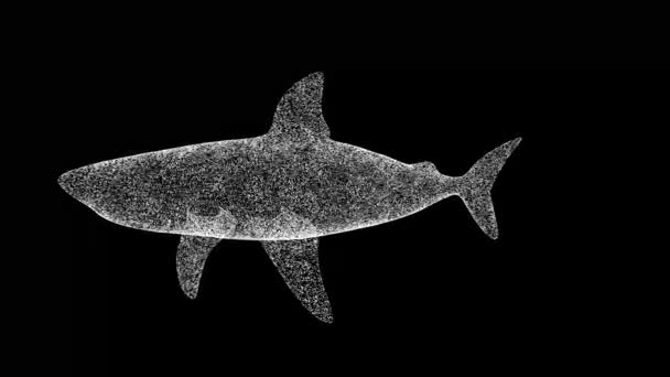 Rekin Obraca Się Czarnym Tle Obiekt Wykonany Błyszczących Cząstek Koncepcja — Wideo stockowe