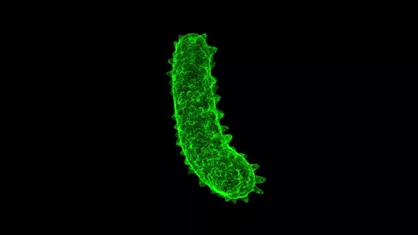 Bacterium Tourne Sur Fond Noir Objet Fait Particules Chatoyantes Concept — Video