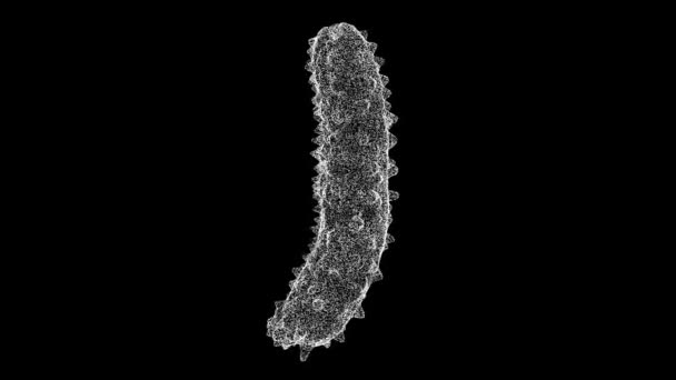 Bakterium Virus Rotiert Auf Schwarzem Hintergrund Objekt Aus Schimmernden Teilchen — Stockvideo