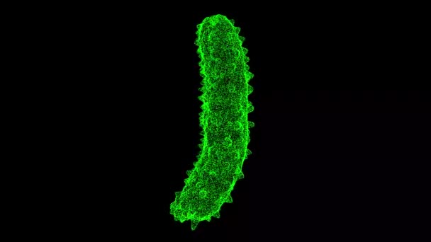 Bacteriumvirus Draait Zwarte Achtergrond Voorwerp Gemaakt Van Glinsterende Deeltjes Gezondheidsgeneeskunde — Stockvideo