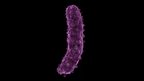 Bakterium Rotiert Auf Schwarzem Hintergrund Objekt Aus Schimmernden Teilchen Gesundheitsmedizin — Stockvideo