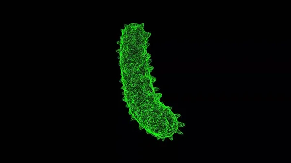 Bacterium Zwarte Achtergrond Voorwerp Gemaakt Van Glinsterende Deeltjes Gezondheidsgeneeskunde Concept — Stockfoto