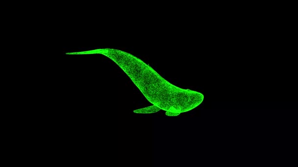 3D鲸鱼在黑色的斜角上旋转 物体溶解绿色闪烁粒子60 Fps 商业广告背景 科学概念 3D动画 — 图库视频影像