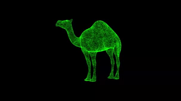 Camelo Gira Preto Objeto Dissolvido Partículas Cintilantes Verdes Fps Antecedentes — Vídeo de Stock