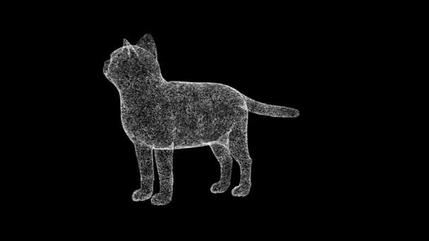 3D猫在黑色的Bg上旋转 物体溶解了60 Fps的白色闪烁粒子 商业广告背景 科学概念 3D动画 — 图库视频影像