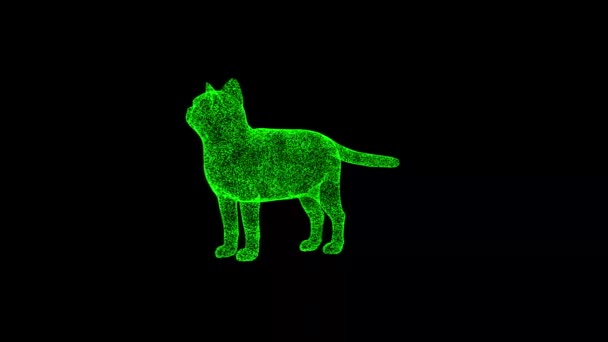 Boyutlu Kedi Siyah Üzerinde Döner Nesne Çözünmüş Yeşil Parçacıklar Fps — Stok video