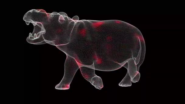 Rozprzestrzenianie Się Wirusa Poprzez Obracanie Ciała Hipopotama Zwierząt Monochromatycznych Czarnym — Wideo stockowe