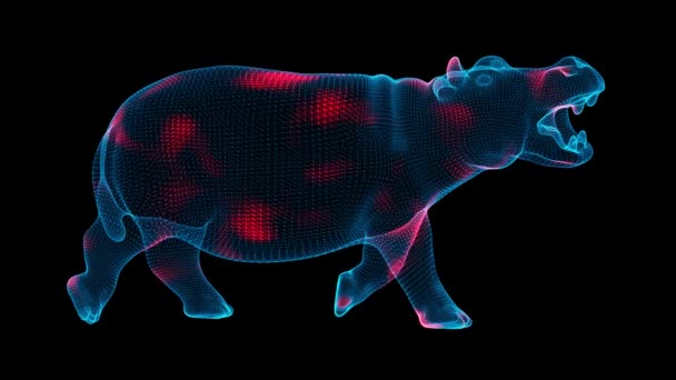 病毒在黑色背景上通过体积较大的动物传播 病毒在体内的可视化展示 导引影片 医学概念 Fps 3D动画 — 图库视频影像