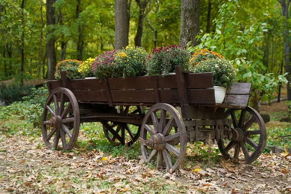Çiçeklerle Dolu Eski Bir Araba Bahçe Dekoru Stok Fotoğraf