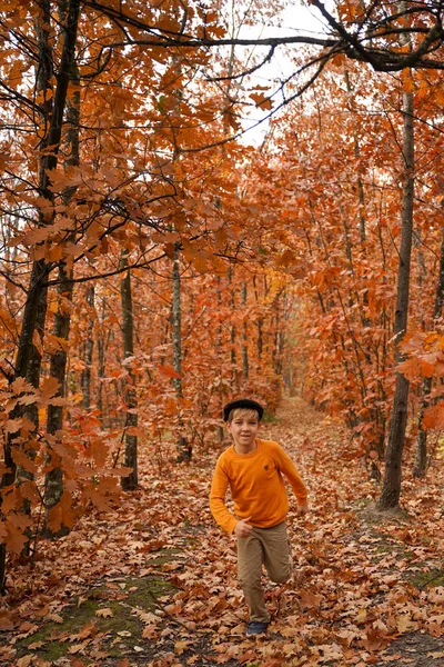 Een Jongen Retro Kleding Loopt Door Het Herfstbos — Stockfoto