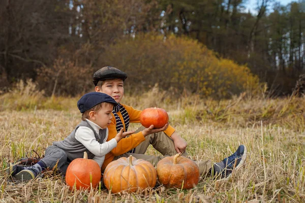 Kinder Mit Kürbissen Auf Dem Feld Das Konzept Von Halloween — Stockfoto