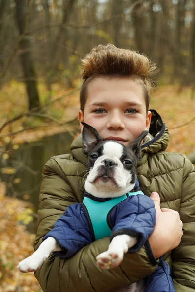 Ein Junge Mit Einem Boston Terrier Nahaufnahme Niedliche Haustiere — Stockfoto