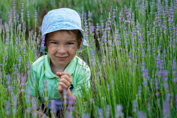 Söt Pojke Ett Lavendelfält Familjesemester — Stockfoto