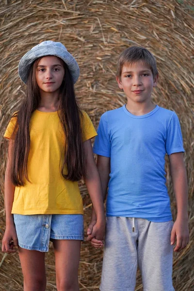 孩子们穿着乌克兰国旗的颜色 背对着草堆 拯救乌克兰自然组织 — 图库照片