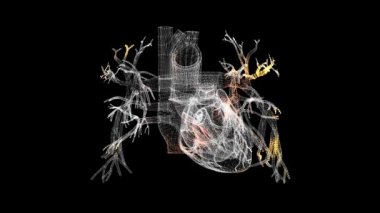 Üç boyutlu kalp taraması. Kalp Tarama Arayüzü. HUD kalp analizi. Tıp bilimi anatomisi konsepti. Başlık, metin, sunum için. 3D animasyon 60 FPS