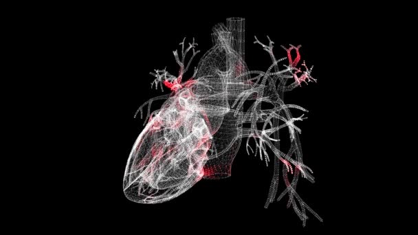 黒の背景に体積人間の心を介してウイルスの広がり 体内のウイルスの視覚的なデモンストレーション チュートリアルビデオ 医学解剖学の概念 Fps 3Dアニメーション — ストック動画