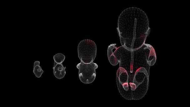 黒の背景にヒト胚の体積体を介してウイルスの広がり 体内のウイルスの視覚的なデモンストレーション チュートリアルビデオ 科学医学の概念 Fps 3Dアニメーション — ストック動画