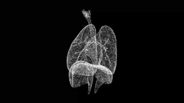 3D人体肺は黒い袋で回転します 呼吸器系人間の体 物体はちらつき粒子を溶解した 科学医学の概念 タイトル テキスト プレゼンテーションのために 3Dアニメーション60 Fps — ストック動画