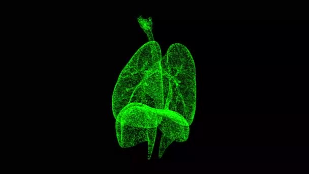 Pulmões Humanos Giram Preto Sistema Respiratório Corpo Humano Objeto Partículas — Vídeo de Stock
