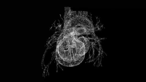 3D人間の心臓は黒い袋で回転します 心臓血管系人体 物体はちらつき粒子を溶解した 科学医学の概念 タイトル テキスト プレゼンテーションのために 3Dアニメーション60 Fps — ストック動画