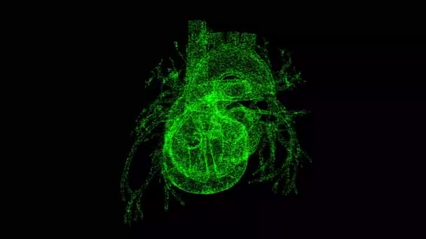 Menschliches Herz Dreht Sich Auf Schwarzem Grund Herz Kreislauf System — Stockvideo