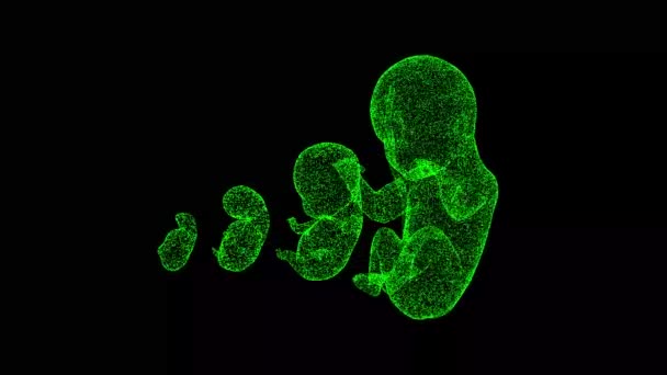 3D人体胚は黒い袋を回転させます ヒト胚の発生 物体はちらつき粒子を溶解した 科学医学の概念 タイトル テキスト プレゼンテーションのために 3Dアニメーション60 Fps — ストック動画