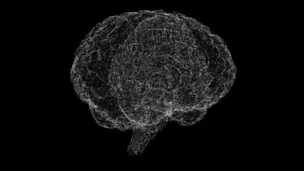 3D脳は黒い袋で回転します 物体はちらつき粒子を溶解した 科学医学の概念 タイトル テキスト プレゼンテーションのために 3Dアニメーション60 Fps — ストック動画