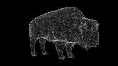 Üç boyutlu bufalo siyah arka planda döner. Parlayan parçacıklardan yapılmış bir nesne. Vahşi hayvanlar konsepti. Başlık, metin, sunum için. 3D animasyon 60 FPS