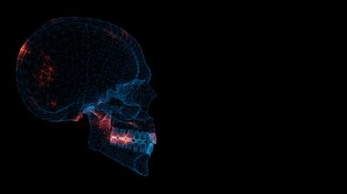 3 boyutlu kafatası taraması. Scull Tarama Arayüzü. HUD Scull analizi. Tıp bilimi anatomisi konsepti. Başlık, metin, sunum için. 3D animasyon 60 FPS