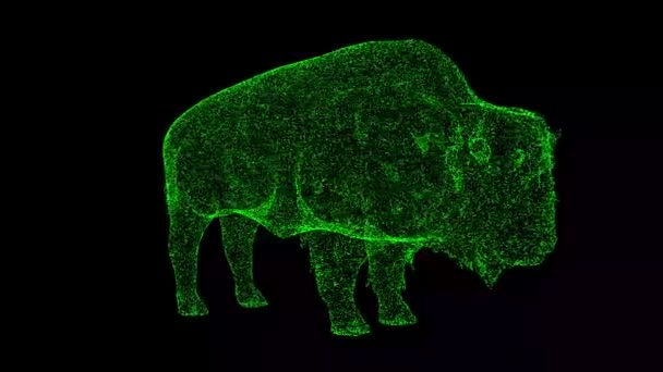 버팔로는 바탕에서 회전한다 빛나는 입자로 만들어 물체입니다 동물의 타이틀 텍스트 — 비디오