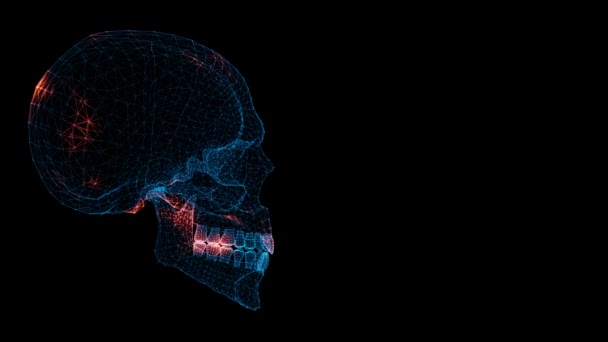 Escaneo Scull Interfaz Escaneo Scull Hud Scull Analizar Concepto Anatomía — Vídeo de stock