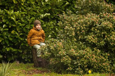 İlkbahar bahçesinde, yaprakların arasında oturan, anaokulu çağında tatlı bir çocuk. Güneşli bahar günü